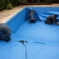 Equipe técnica ajustando uma nova manta de vinil azul dentro de uma piscina residencial